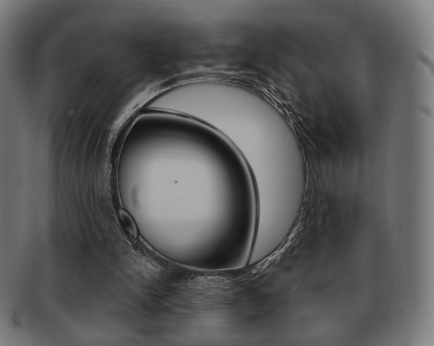 X0000091890150200709051051