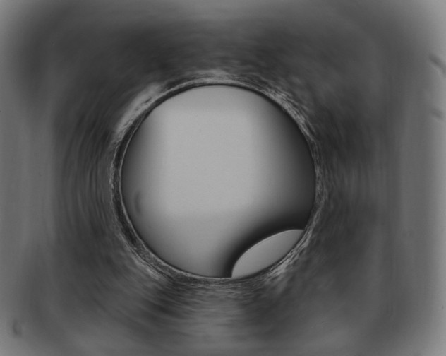 X0000091890151200709051051