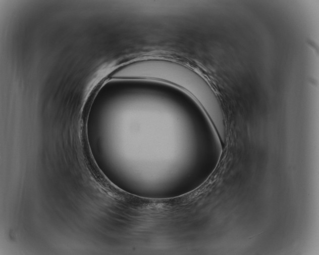 X0000091890152200709051051