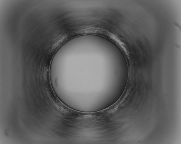 X0000091890153200709051051