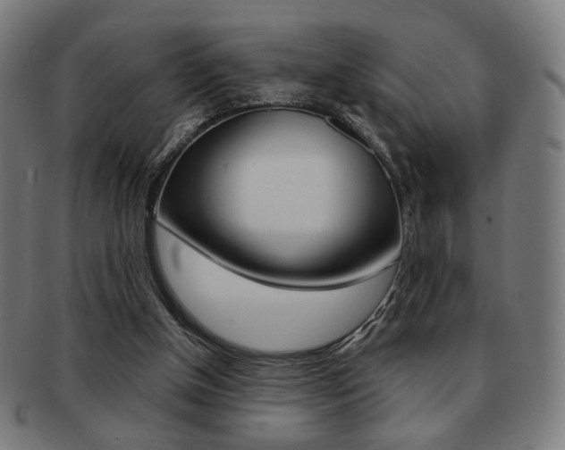 X0000091890154200709051051