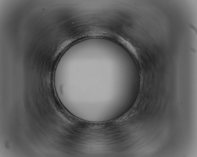 X0000091890155200709051051