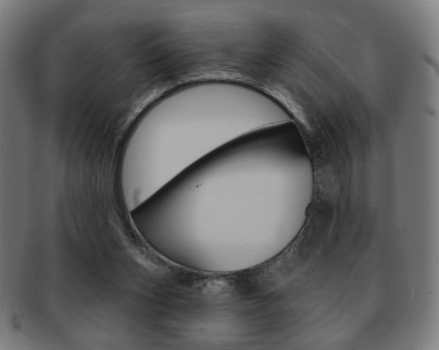 X0000091890159200709051051