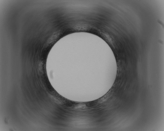 X0000091890162200709051051