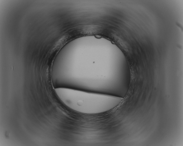X0000091890163200709051051