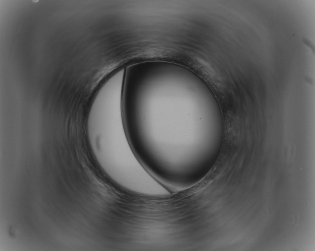 X0000091890164200709051051
