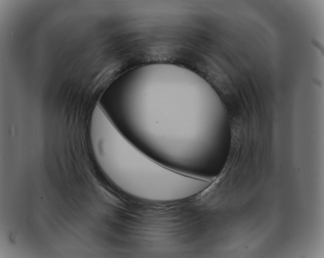 X0000091890166200709051051