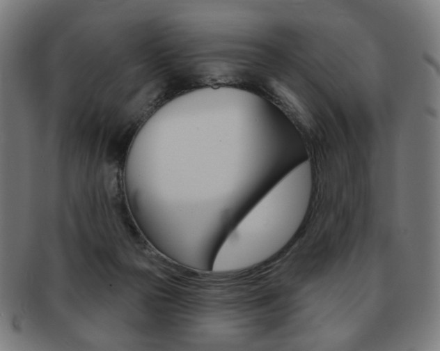 X0000091890169200709051051