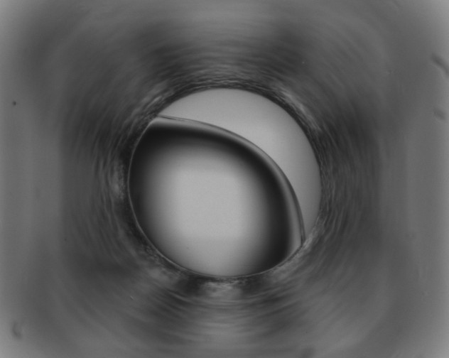 X0000091890170200709051051