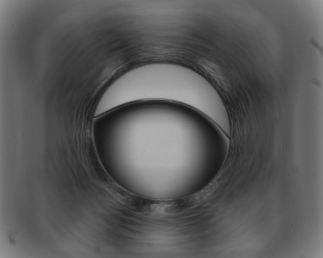 X0000091890172200709051051