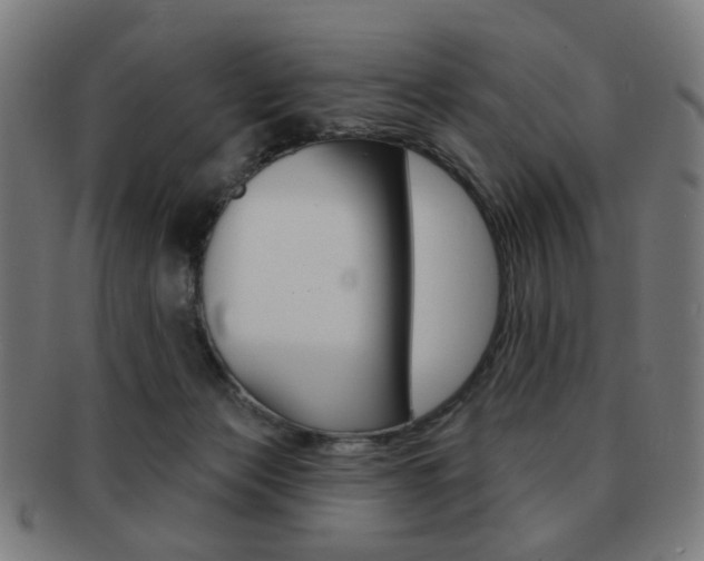 X0000091890173200709051051