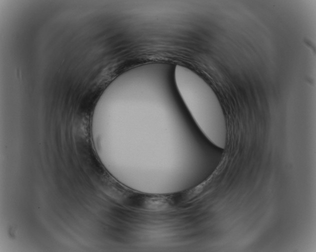 X0000091890175200709051051