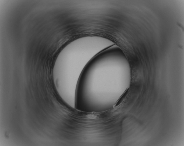 X0000091890176200709051051
