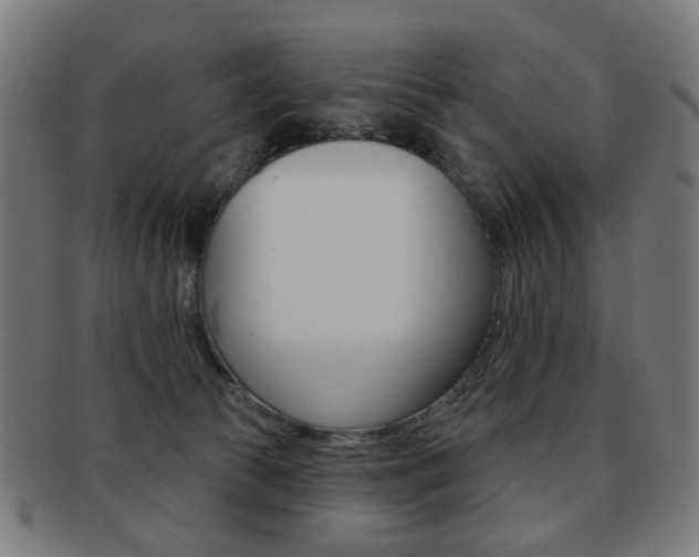 X0000091890177200709051051