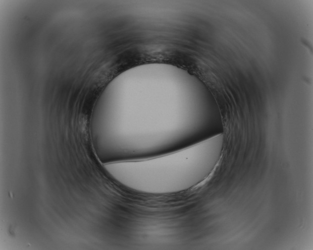 X0000091890178200709051051