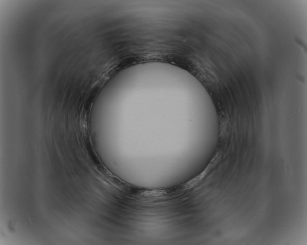 X0000091890179200709051051