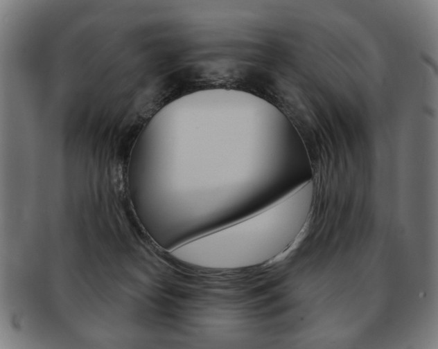 X0000091890182200709051051