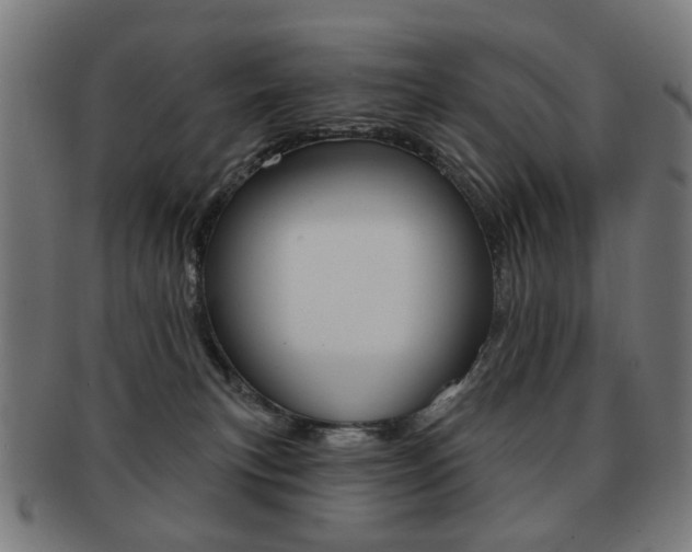 X0000091890183200709051051