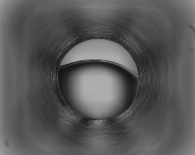 X0000091890184200709051051