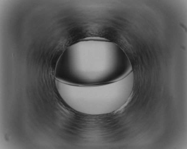 X0000091890186200709051051