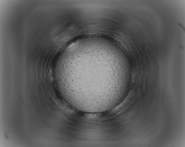X0000091890187200709051051