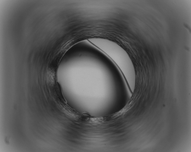 X0000091890188200709051051