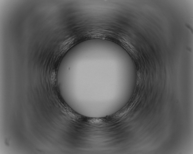 X0000091890189200709051051