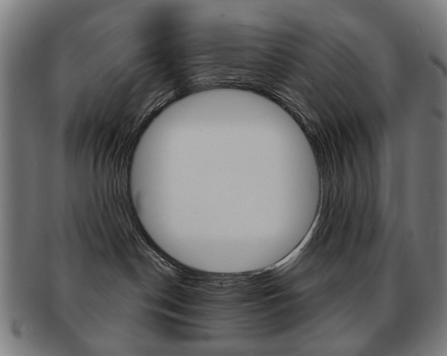 X0000091890190200709051051