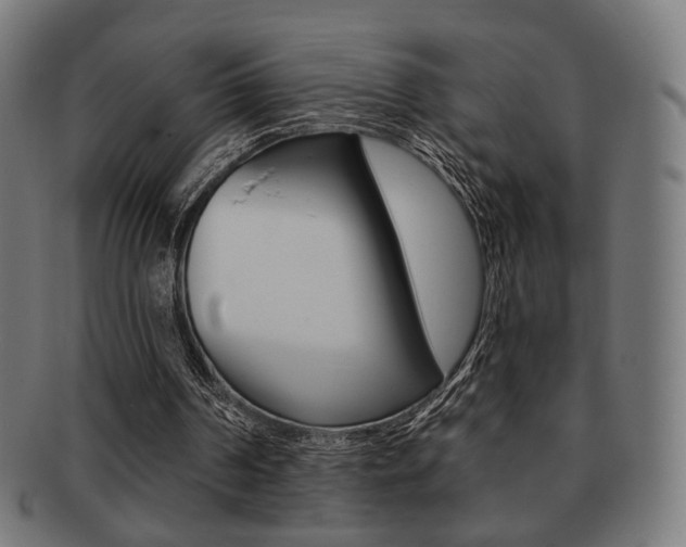 X0000091890194200709051051