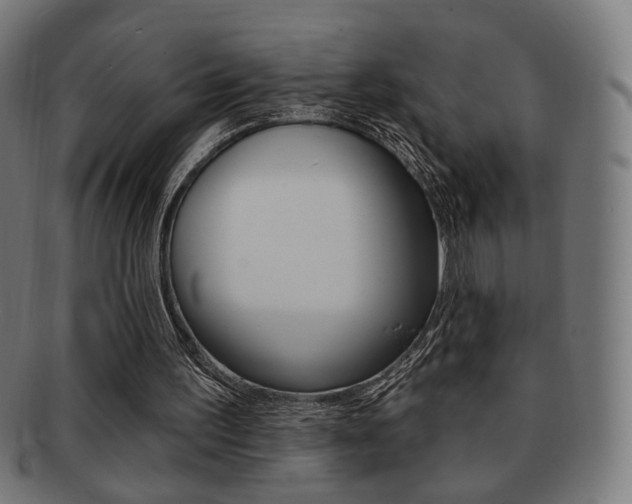 X0000091890195200709051051