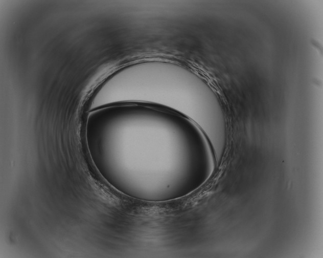 X0000091890197200709051051