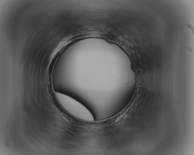 X0000091890198200709051051