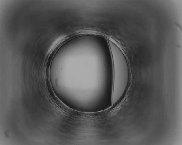 X0000091890199200709051051