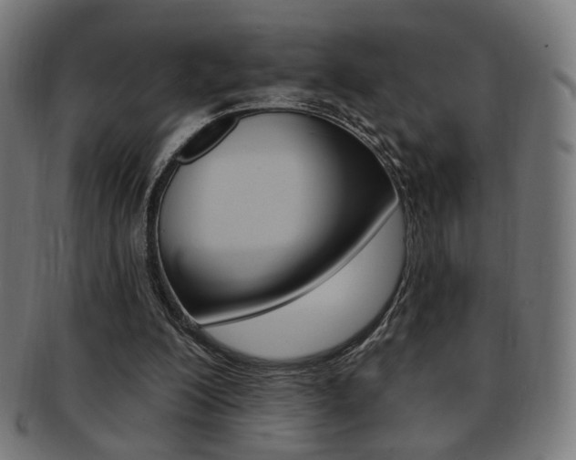 X0000091890200200709051051