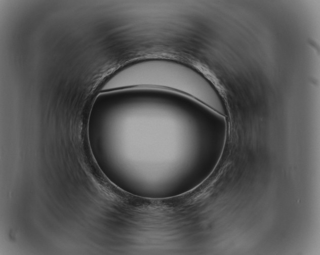 X0000091890201200709051051