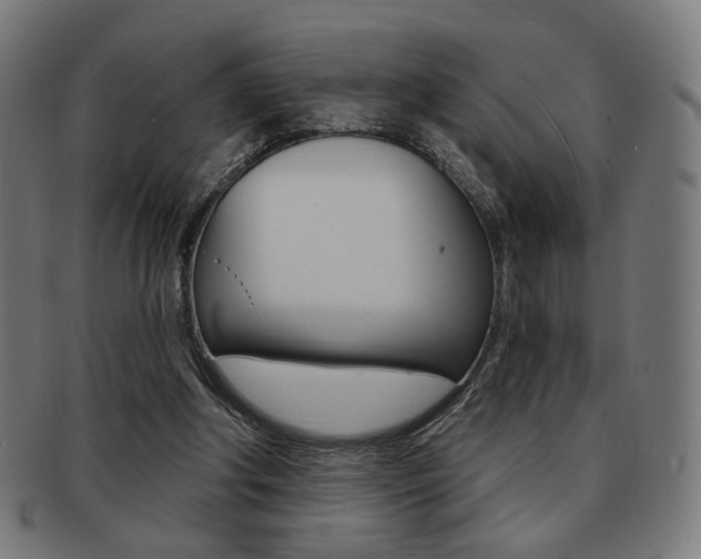 X0000091890202200709051051