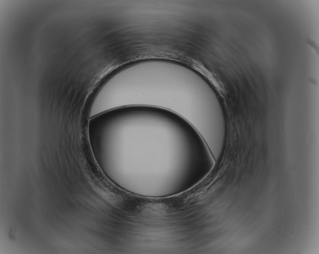 X0000091890203200709051051