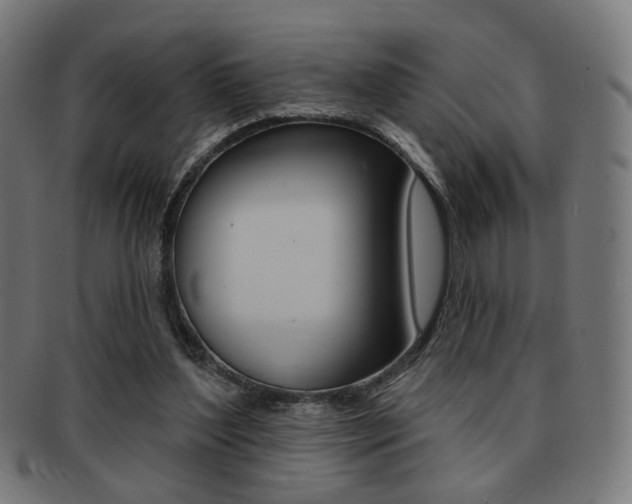 X0000091890204200709051051