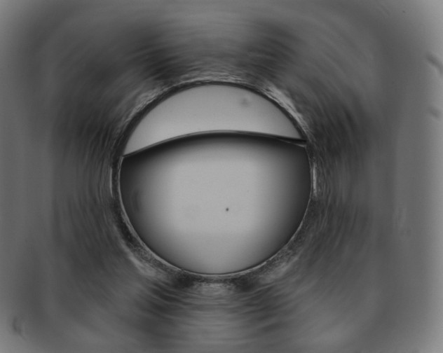 X0000091890205200709051051