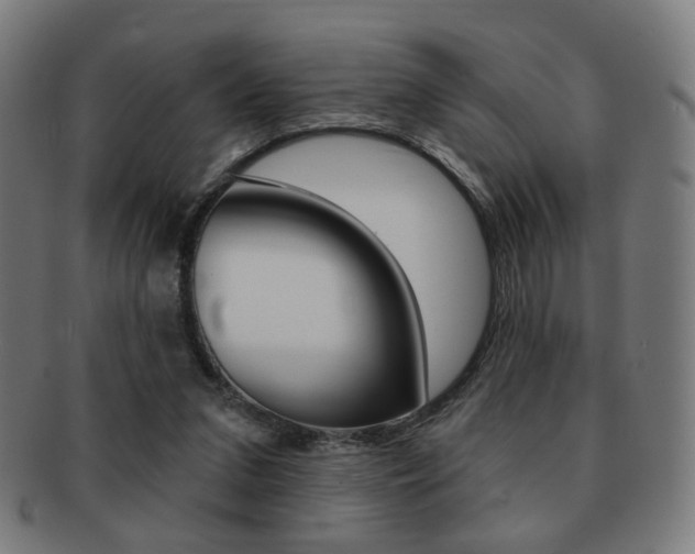 X0000091890207200709051051