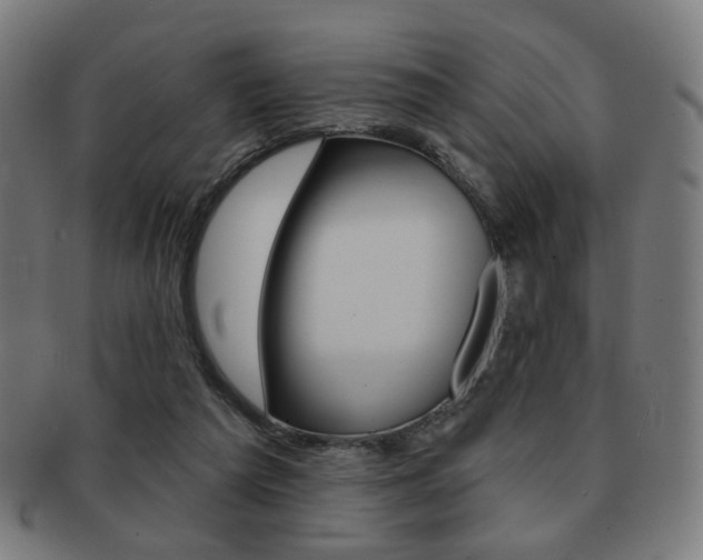 X0000091890209200709051051