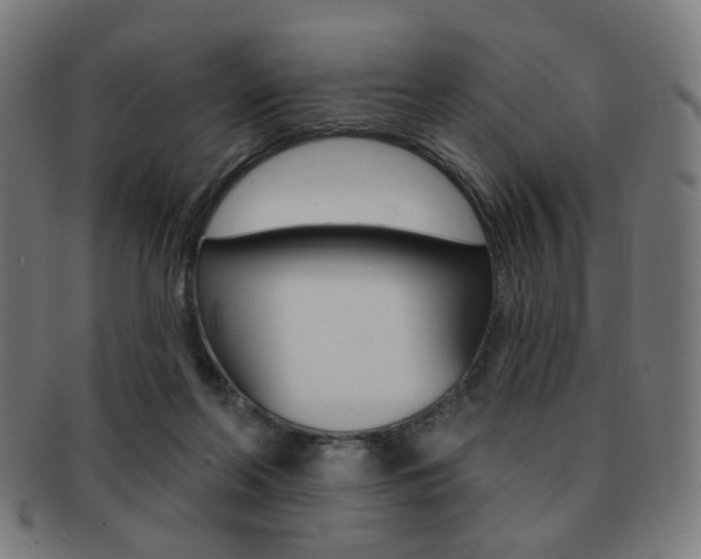 X0000091890214200709051050