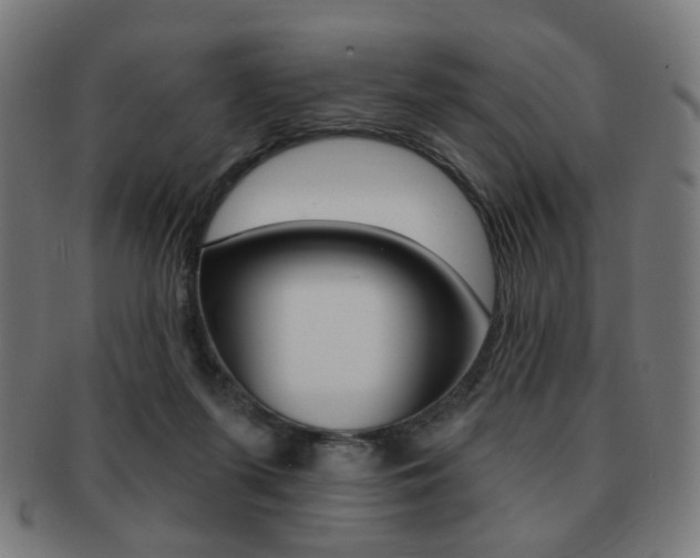 X0000091890215200709051050