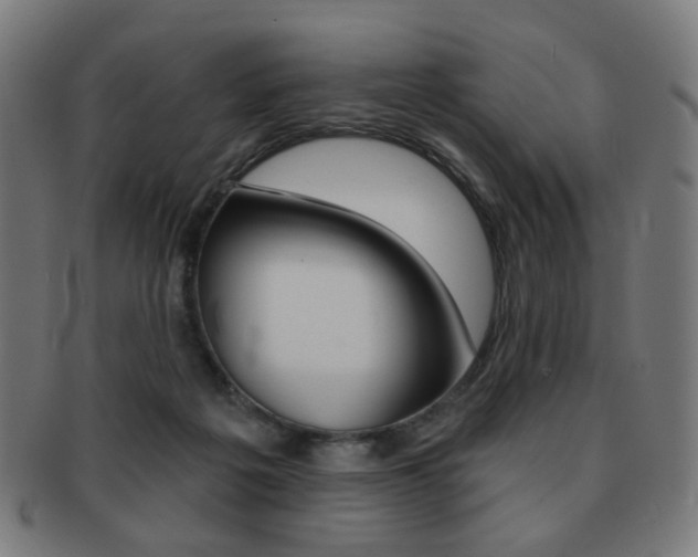 X0000091890217200709051050