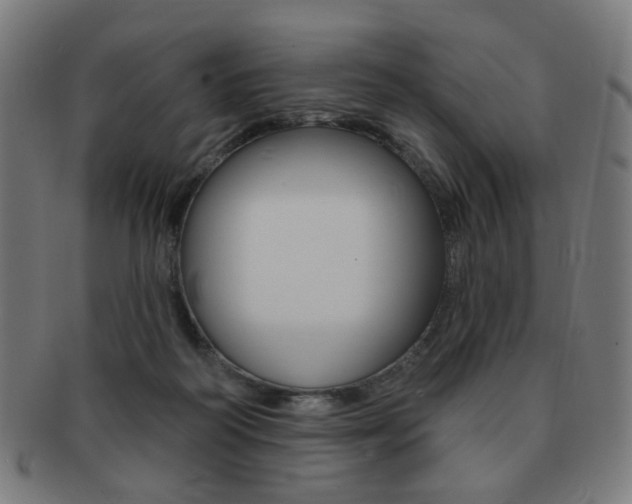 X0000091890218200709051050