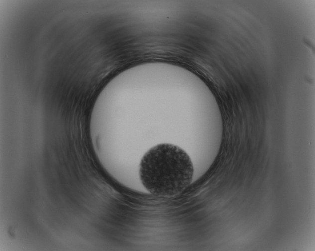 X0000091890219200709051050