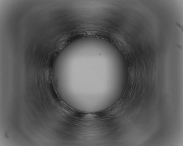 X0000091890222200709051050