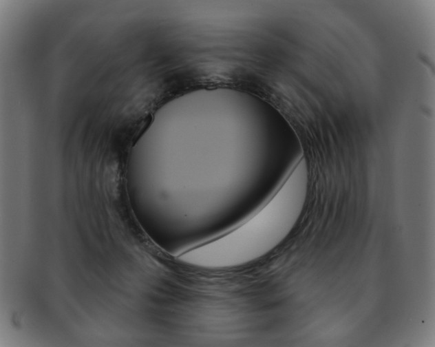 X0000091890223200709051050