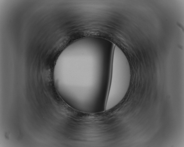 X0000091890224200709051050