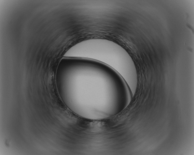 X0000091890225200709051050